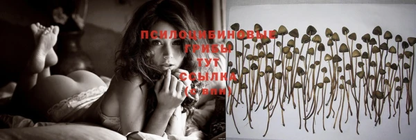прущая мука Семикаракорск