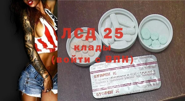 PSILOCYBIN Снежногорск