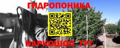 стафф Берёзовский