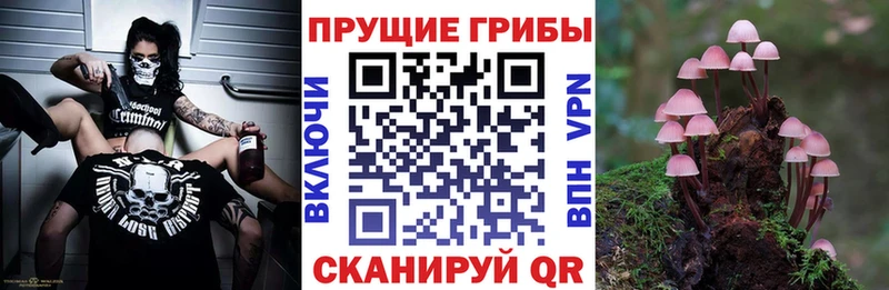 Псилоцибиновые грибы Psilocybine cubensis  продажа наркотиков  ссылка на мегу рабочий сайт  Кизляр 