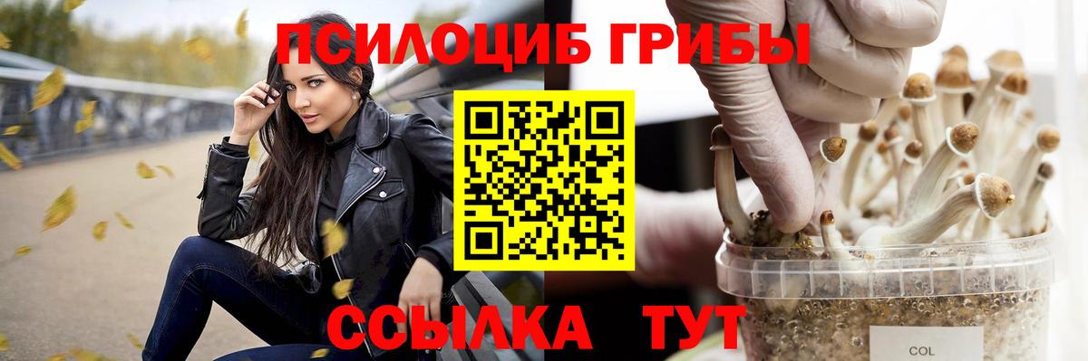 Псилоцибиновые грибы Magic Shrooms Кизляр
